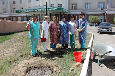 Итоги флеш-моба "Зеленая больница": на свои деньги сотрудники РКБ посадили 550 кустов яблони, морошки и акации