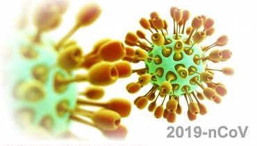 Новый график приема на платный анализ по короновирусной инфекции